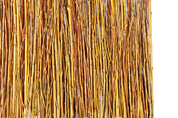 Background of willow twigs. Yellow branches.