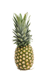 Fototapeta premium Fresh whole pineapple.
