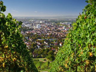 Heilbronn