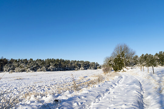 Ett jakttorn p&aring; ett sn&ouml;igt f&auml;lt