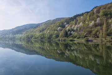 Fototapeta na wymiar The scenic River Moselle, Germany.