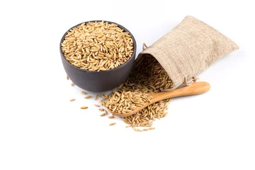 Plexiglas foto achterwand bowl of organic oat grains © romantsubin