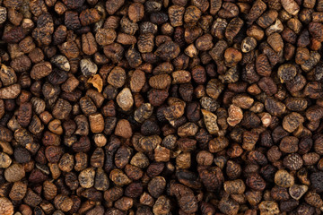 Decorticated cardamom seeds