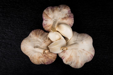 Garlic bulb on dark background