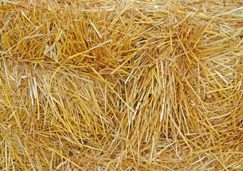 closeup of straw for backgrounds 