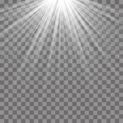 Vector isolated spotlight. Light effect