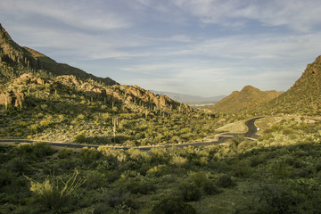 Fototapeta na wymiar Lonely road in Saguaro National Park