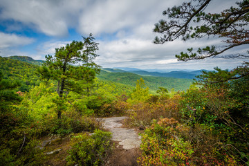 Fototapeta na wymiar View of the Blue Ridge Mountains from Hawksbill Mountain, on the