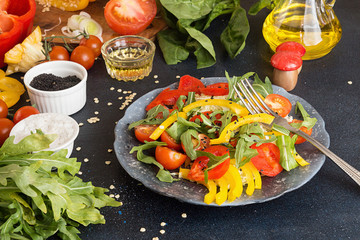 Salad of fresh ripe homegrown vegetables. Ingredients for prepar