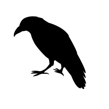 recommend clip art: raven black silhouette vector illustration