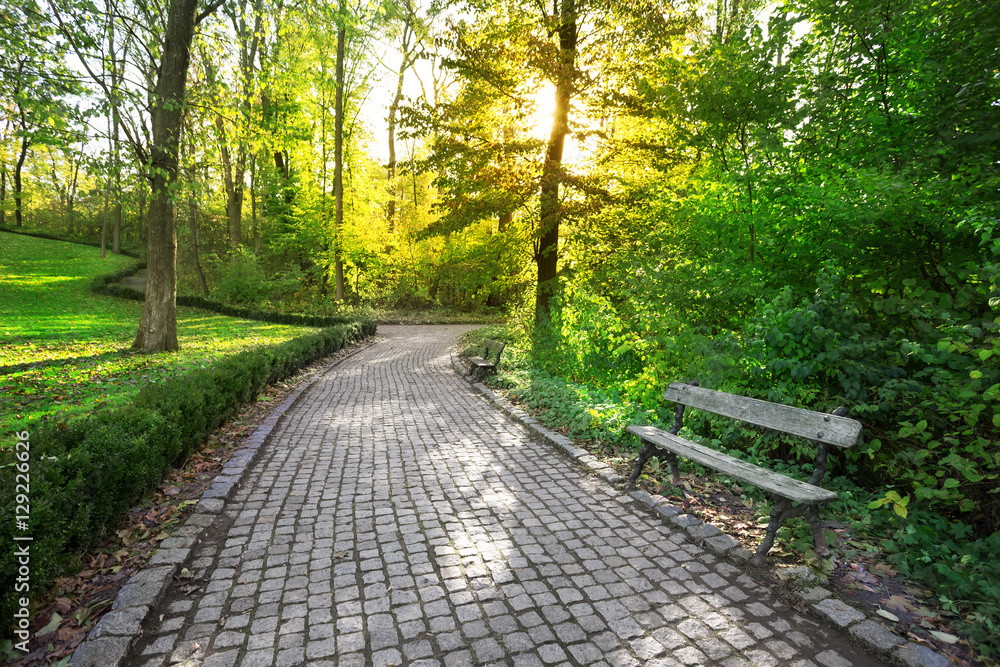 Canvas Prints paved path in a park