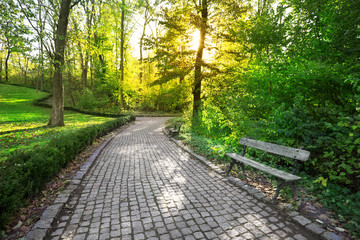 Paved path in a park