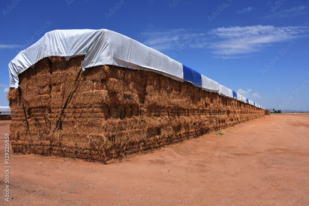 Wall mural hay stack 2