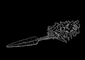 Black picture of carrot