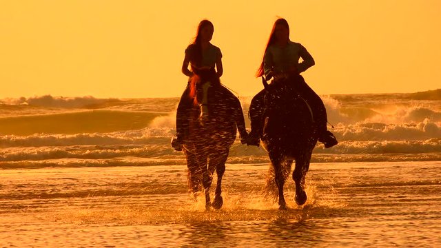 Horses riding on the beach at sunset