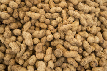 Peanut. Peanuts background. Peanuts seed. Brown peanuts. Peanuts material. (selective focus)