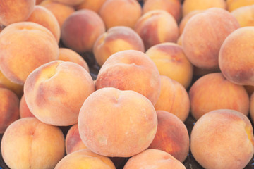 View close-up of fresh peaches. Lots of juicy peaches.  Summer tray market agriculture farm full organic peaches. Fruit peaches background (selective focus)