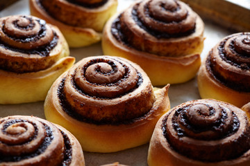 Freshly baked cinnamon buns with spices and cocoa filling. Sweet Homemade Pastry christmas baking. Close-up. Kanelbule - swedish dessert.