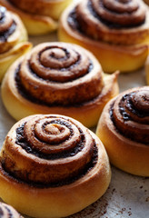 Cinnamon rolls buns with spices and cocoa filling. Sweet Homemade christmas baking. Close-up. Kanelbulle - swedish pastry dessert.