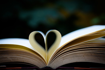 Open book  with heart shape page