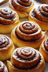 Obraz na płótnie Canvas Sweet cinnamon rolls buns with spices and cocoa. Close-up. Kanelbulle - swedish sweet homemade dessert. Christmas baking pastry.
