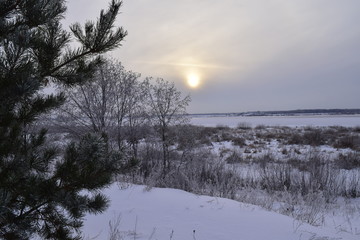 морозный день