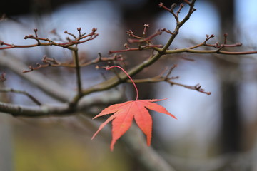 最後の１枚
