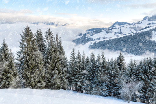 winterlandschaft
