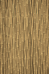 Bamboo fence as a background