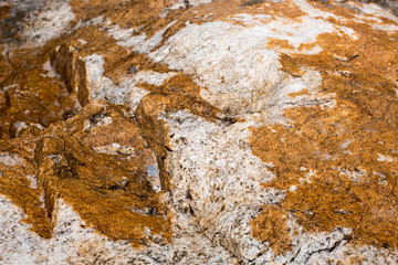 rock pattern background from sea in natural or park
