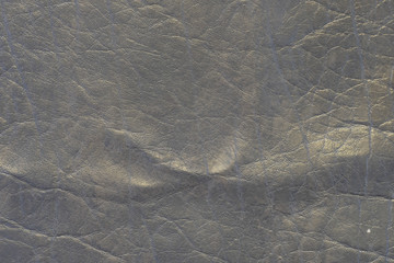 Background with the image of leather texture