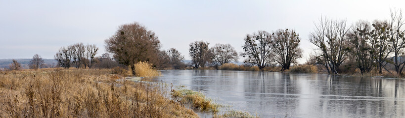 Naklejka na ściany i meble Autumn november landscape banner, panorama -- bare trees grow near the frozen river
