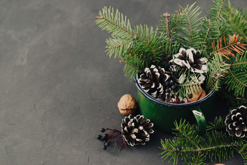 Winter composition from spruce branches, pinecone, nuts in vintage mug on dark background