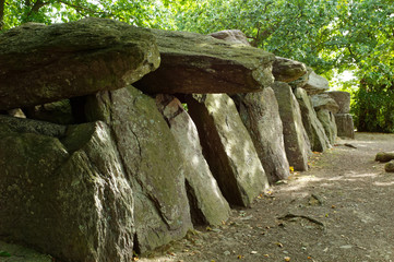 La Roches Aux Fees France Megalith