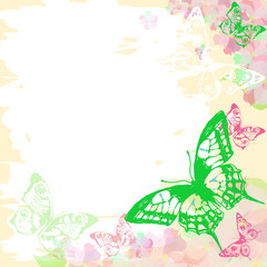 color butterflies,isolated on a white