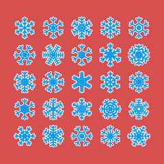 Set of different snowflakes isolated on white background. Snowfl