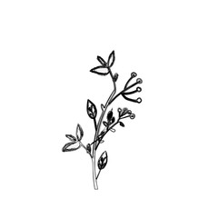 Flower icon. Plant floral garden decoration and ornament theme. Isolated design. Vector illustration