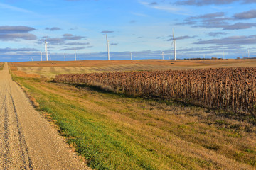 wind turbines generating renewable energy in farming landscape.