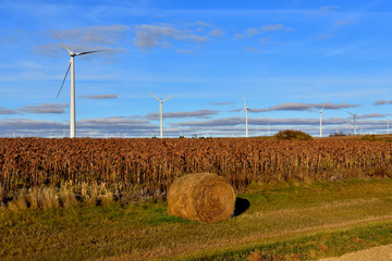 wind turbines generating renewable energy in farming landscape.
