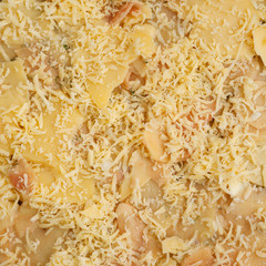 Texture of potato with cheese