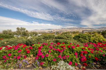 Boise city with red flowers and clouds