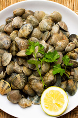 Vongole fresche