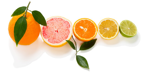 Cuted of citrus fruits