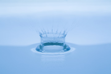 水面のウオータークラウン