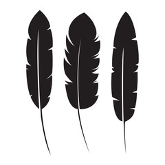 feathers silhouette isolated icon vector illustration design