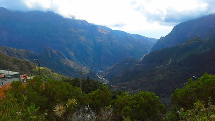 tropical forest in the mountains on Madeira island on a foggy rainy day