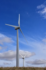 wind turbines producing clean renewable energy on the northern plains.