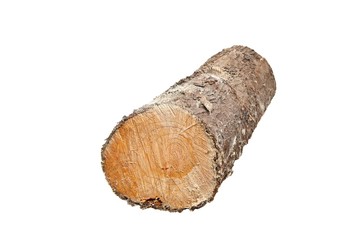 Log wood pile