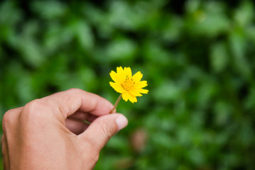 hand with flowers