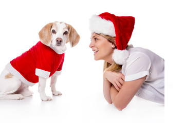 Beagle puppy and woman christmas on white background